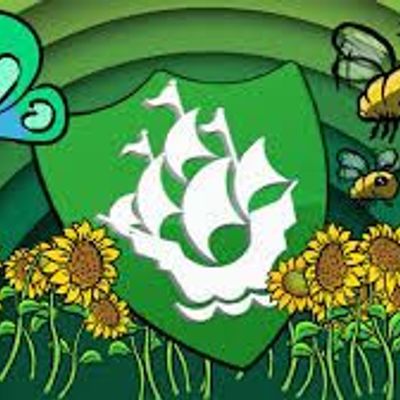 Lexi’s Eco Mission: How Litter Picking Led to a Blue Peter Badge